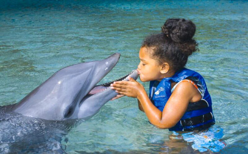 Hilton Waikoloa Dolphin Quest
