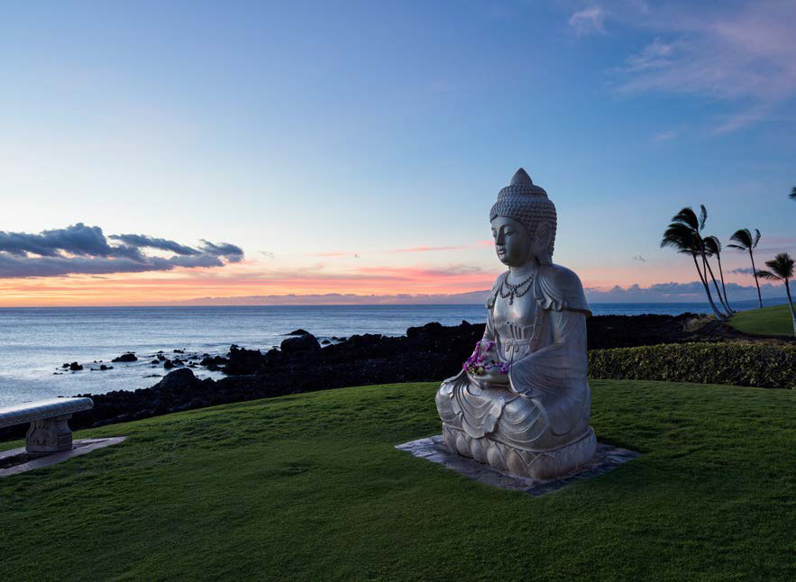 Hilton Waikoloa Budah Point
